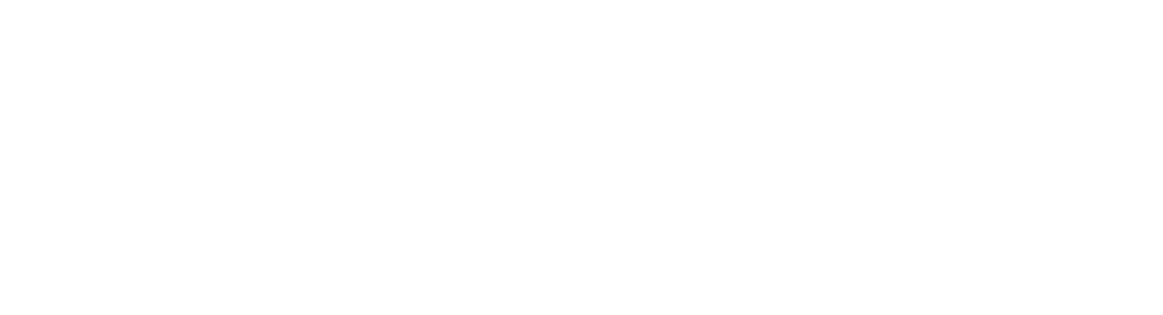 SftST3---logo.png