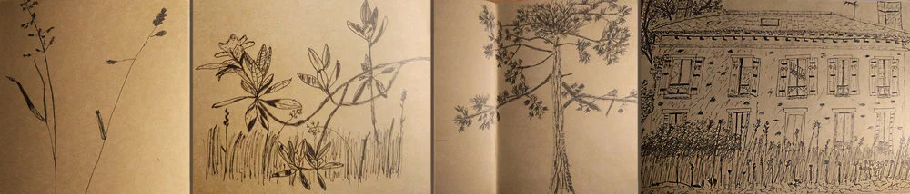 dessins.jpg