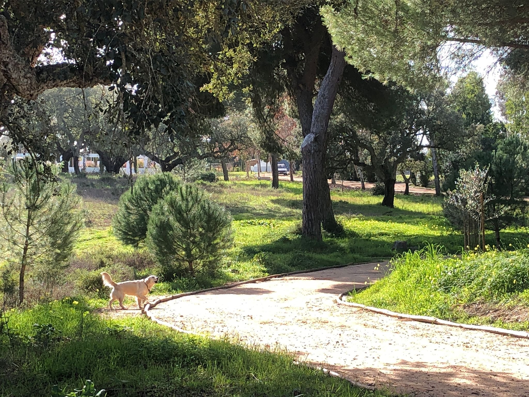 PHOTO-2024-01-01-23-03-59 2.jpg