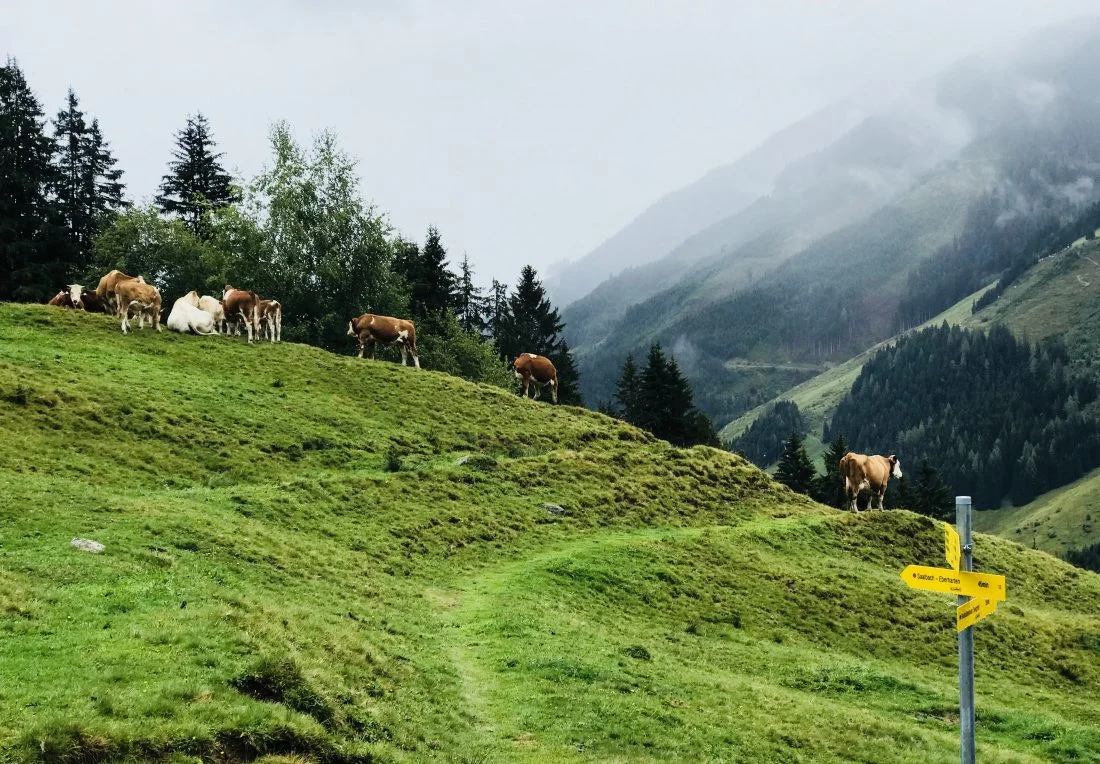 saalbach-blogg1-1100x764.jpeg