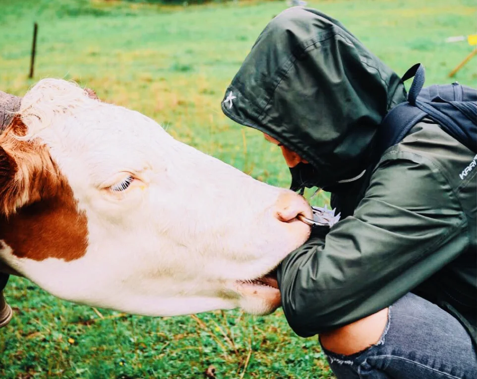 Saalbach – en inre och yttre resa