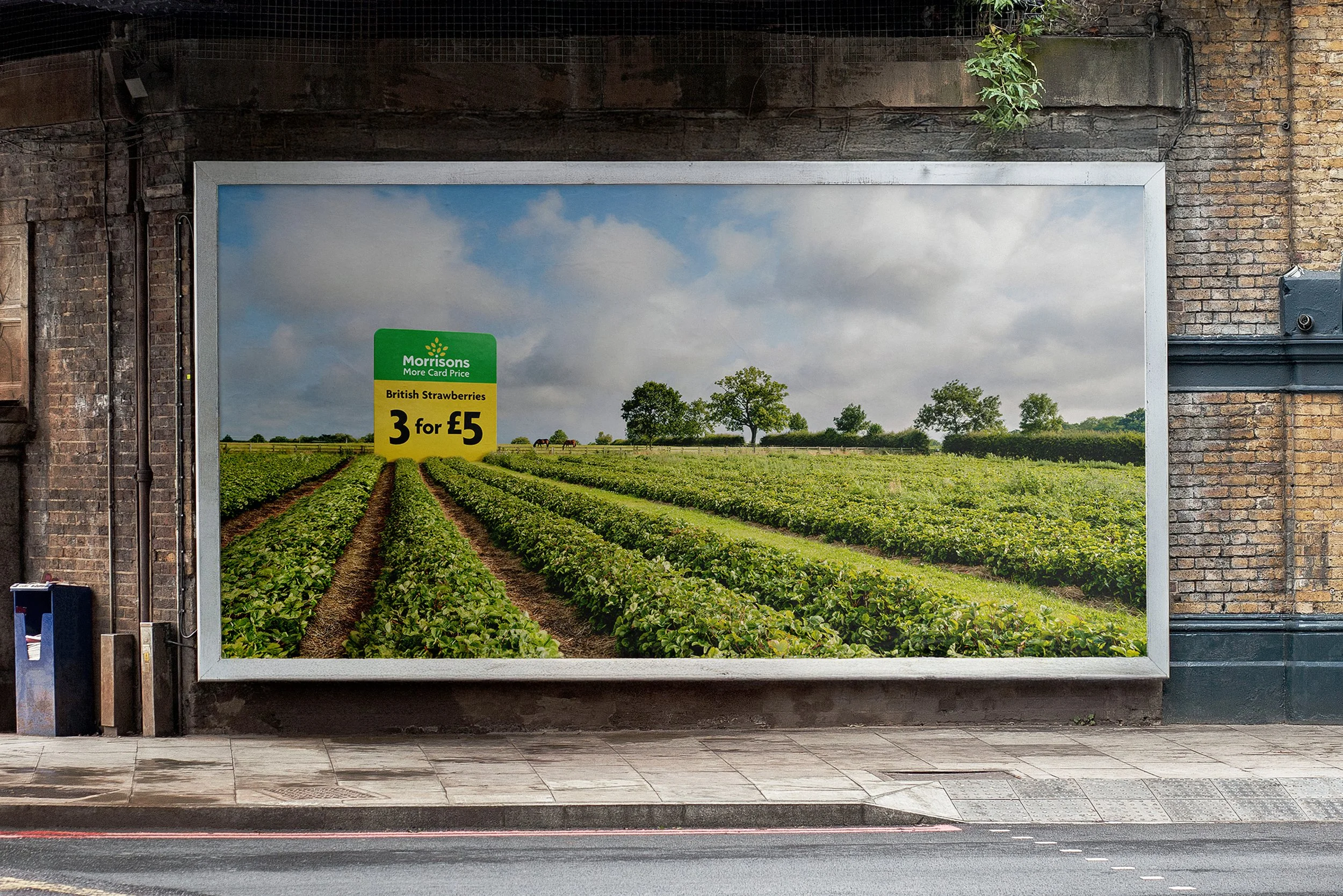 Morrisons Quality Strawberries 2.jpg