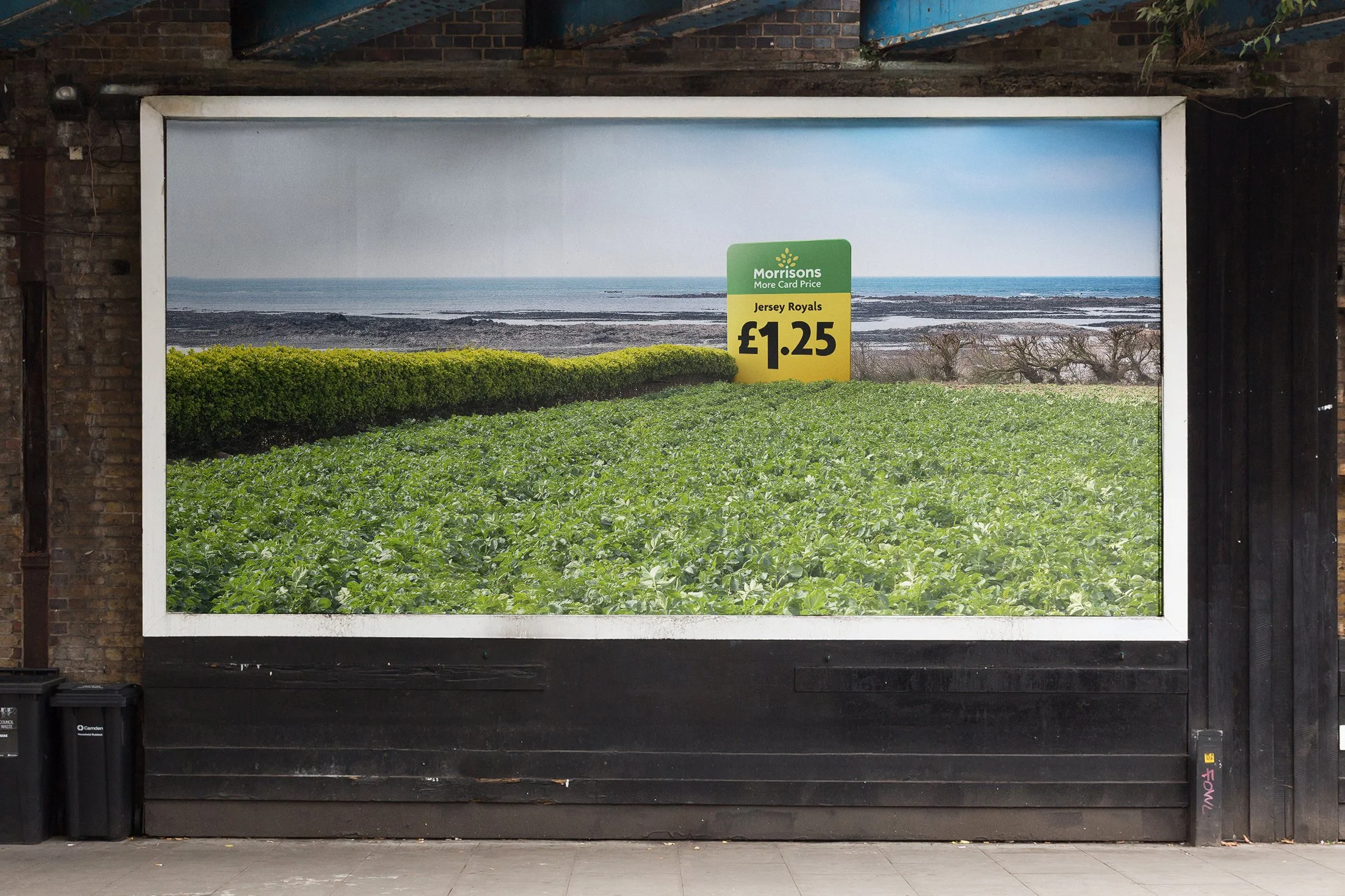 Morrisons- Jersey Royals 2.jpg