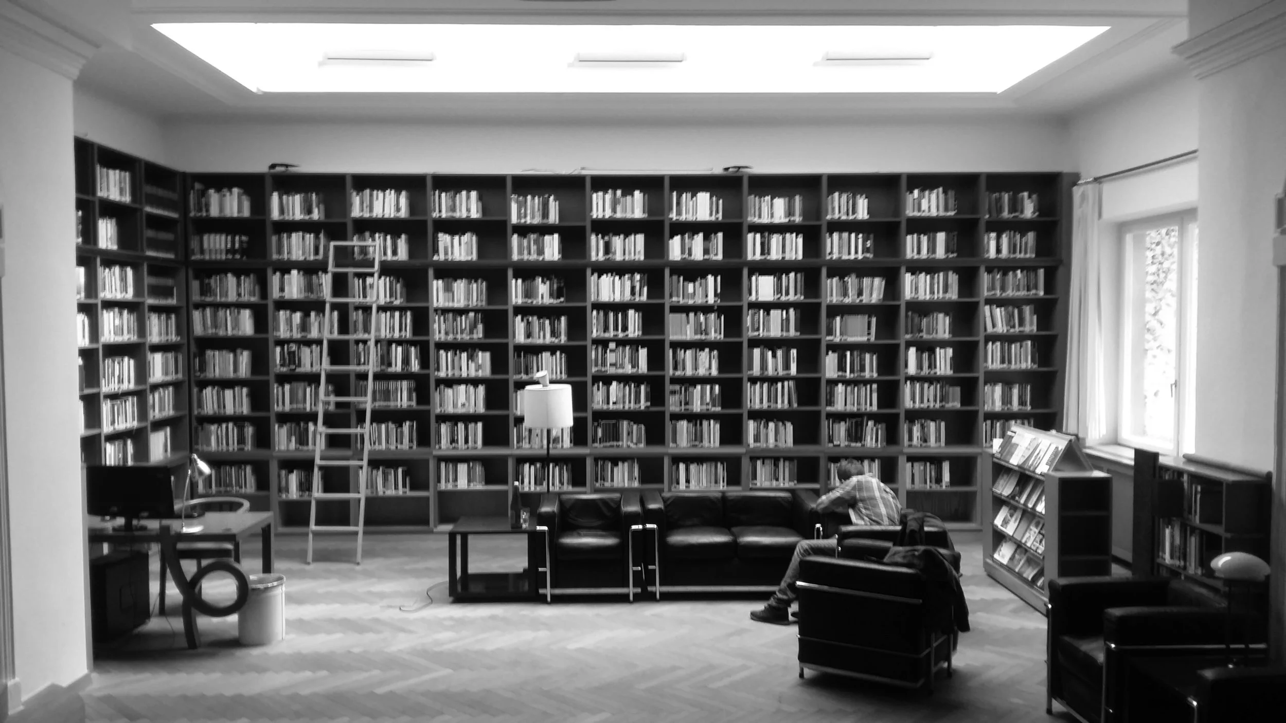 The library of The Institute for Human Sciences in Vienna, where the interview took place. Photograph: Michal Micovčin (c).