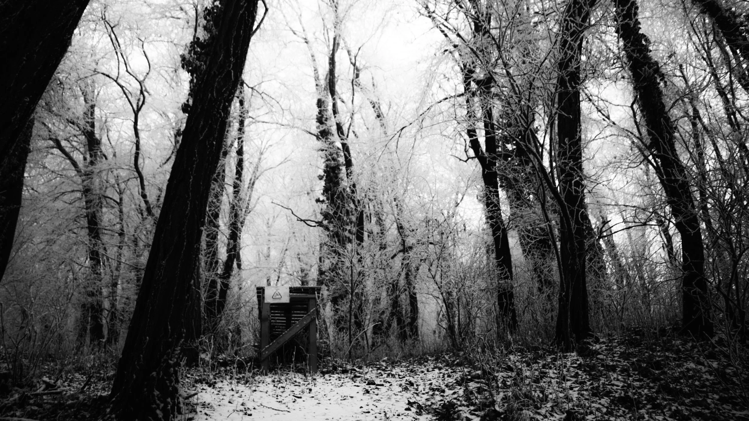 Winter Is Coming Article.jpg