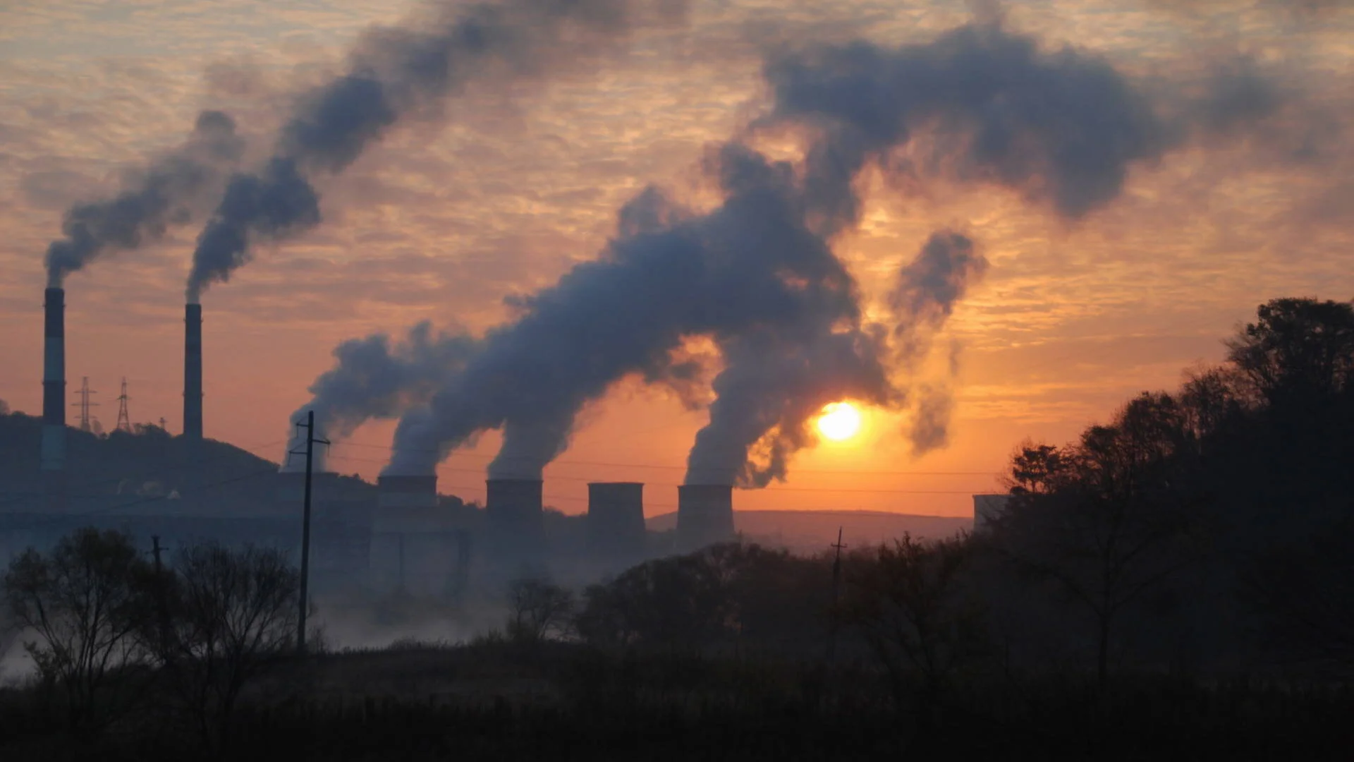 Slow Response, Major Consequences - An Academic Essay