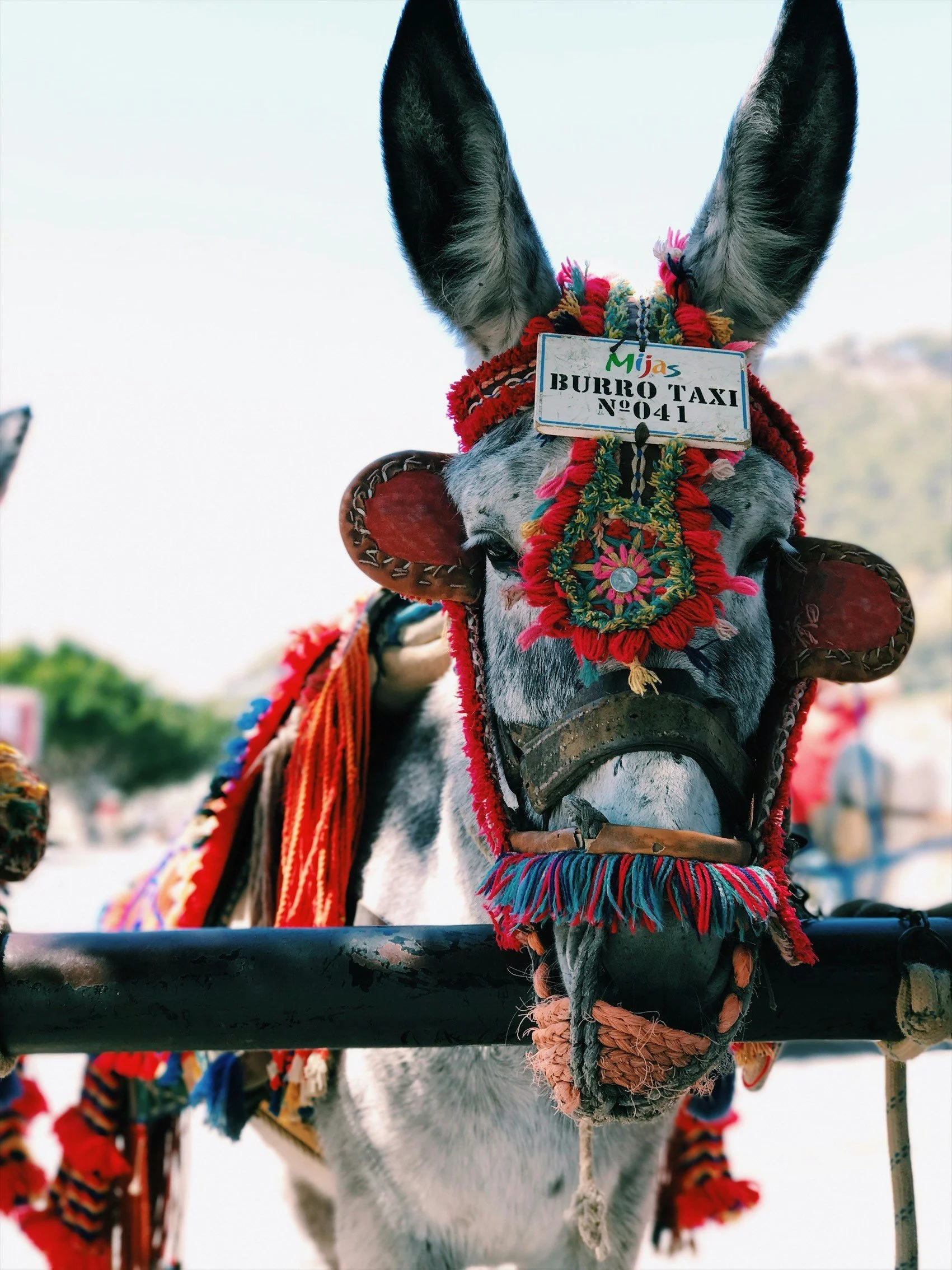 From the Far Left to the Not so Far Past, ETA and the Separatism of the Basque Country in Spain