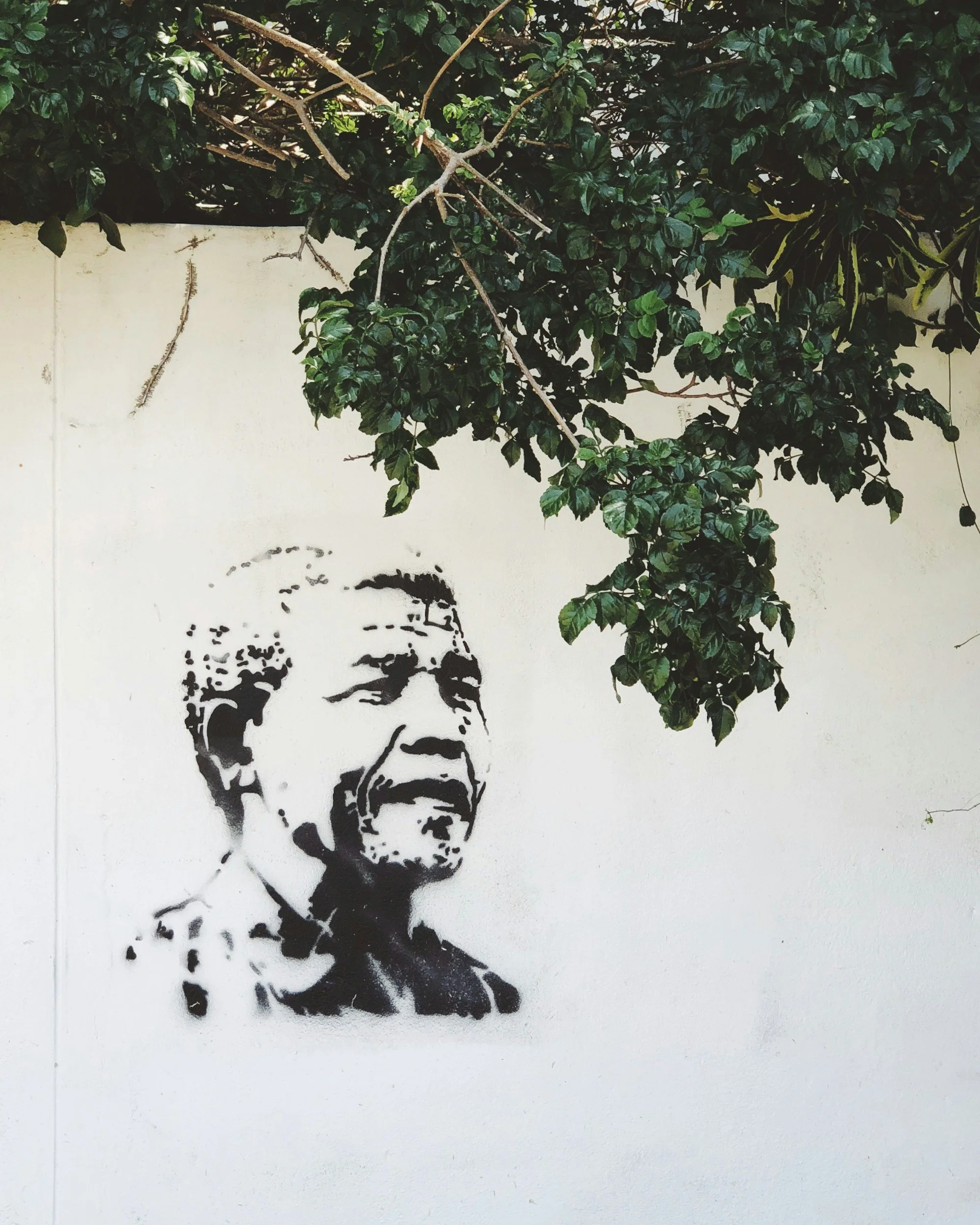 Private Security and Public Trust in Post-apartheid South Africa