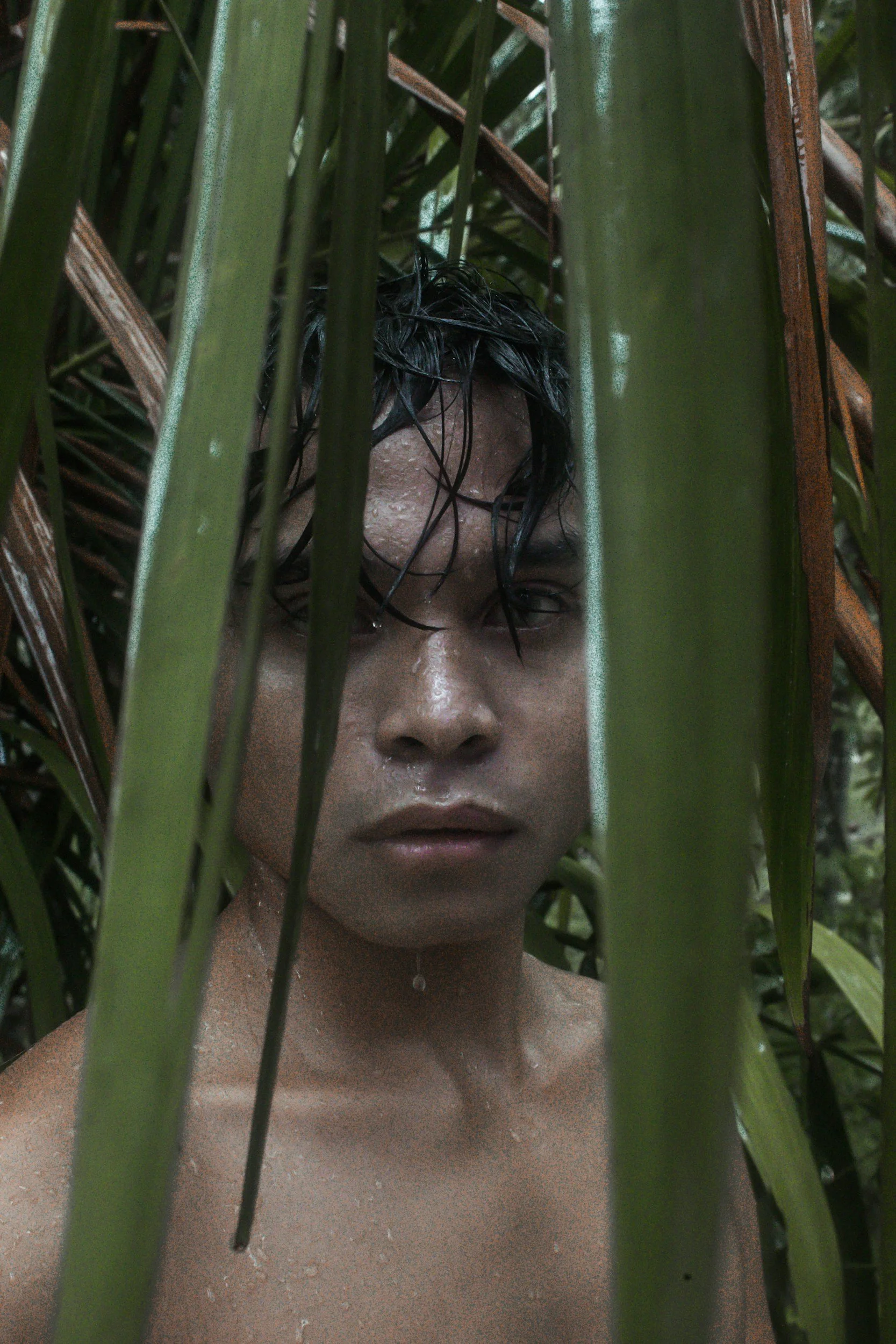 Policy Brief: Protecting the Yanomami People and the Amazon Rainforest