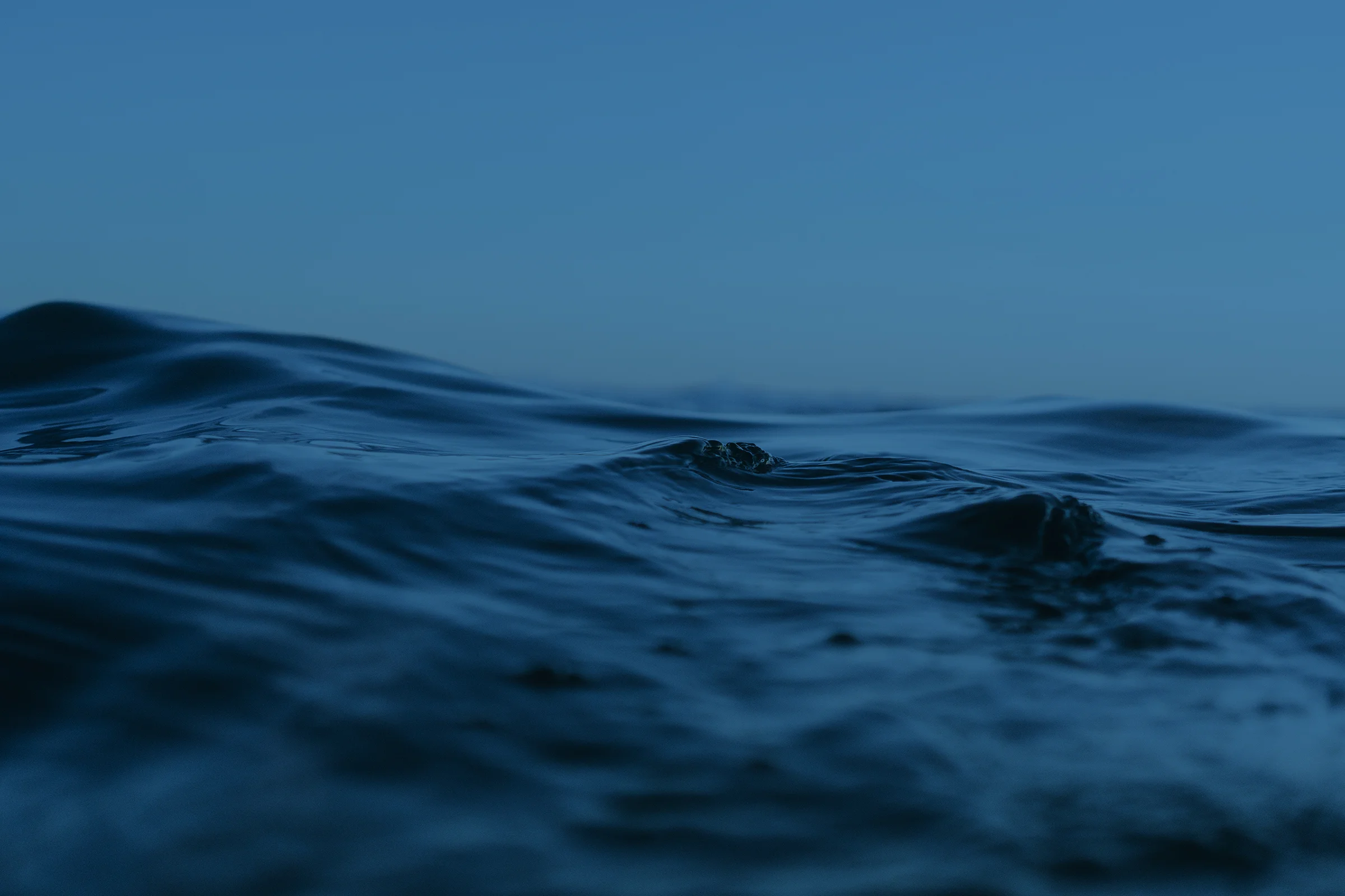 Blued_Social-Image-7.jpg