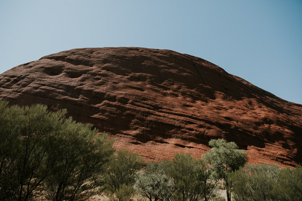 Outback(24von211).jpg