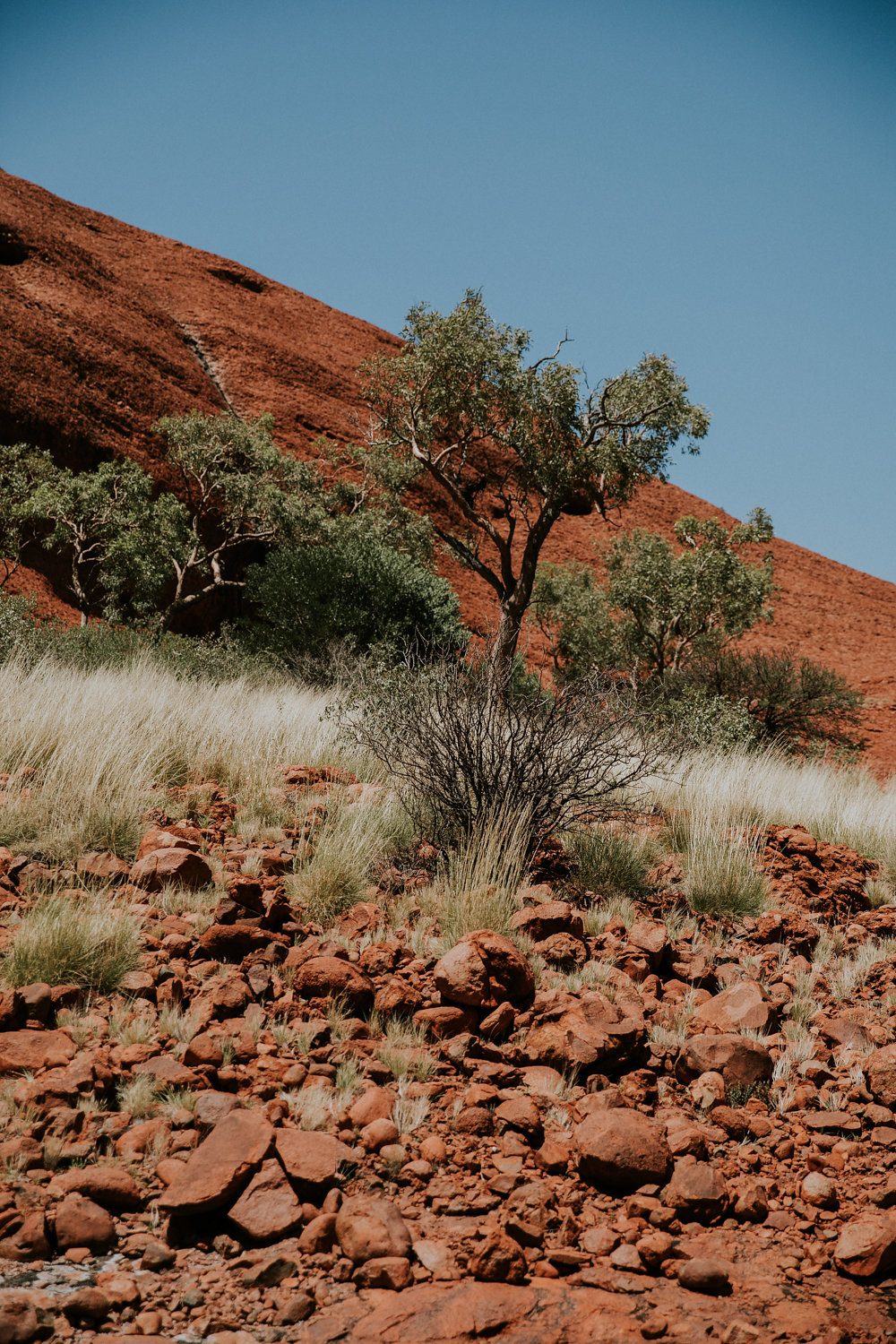 Outback(42von211).jpg