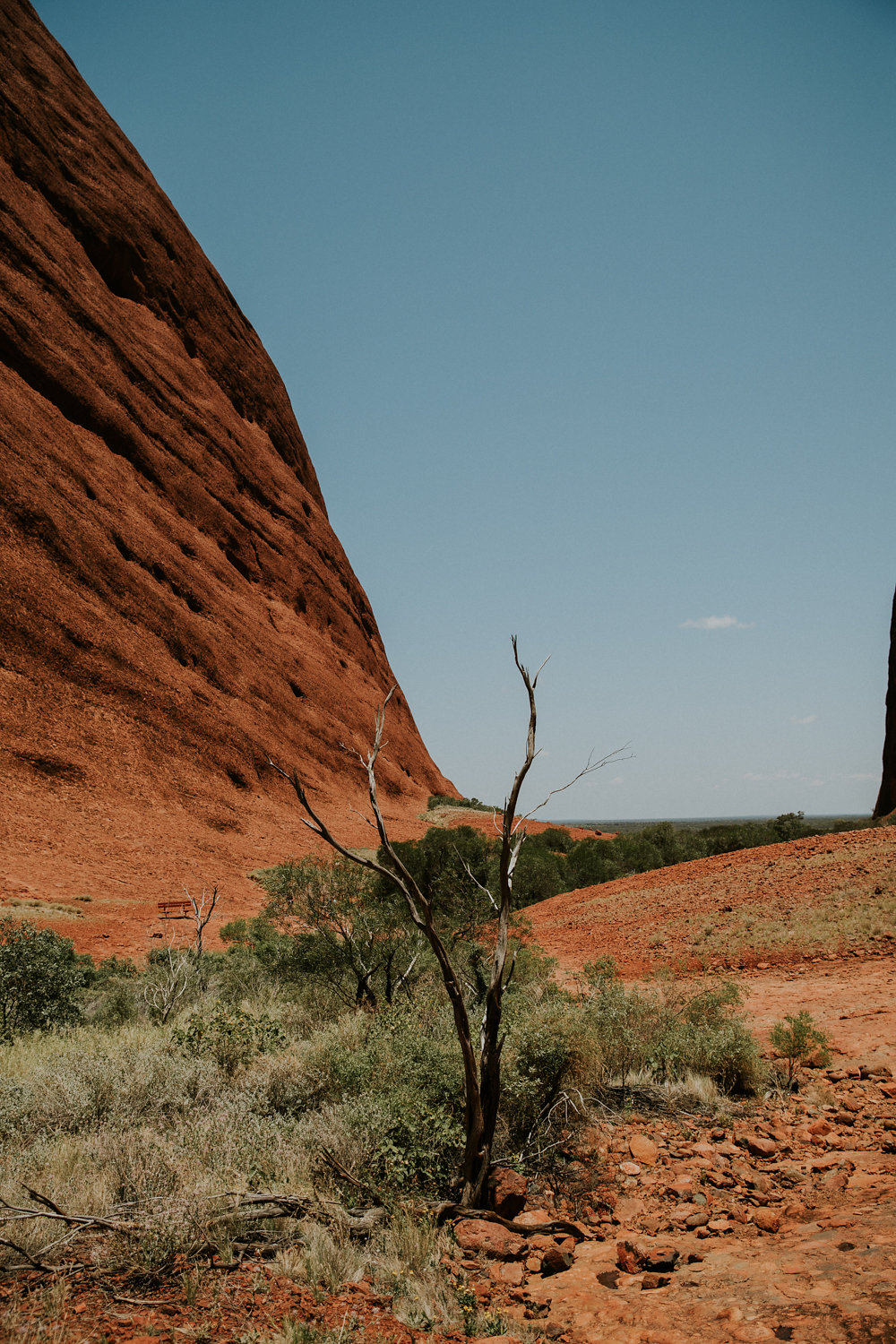 Outback(58von211).jpg