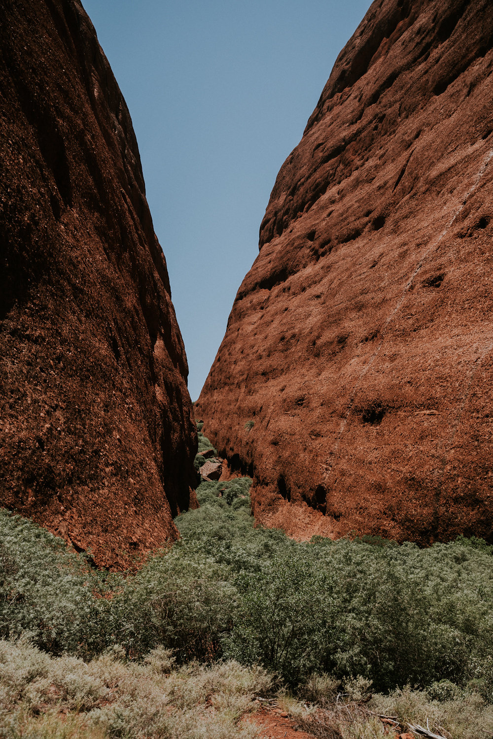 Outback(59von211).jpg