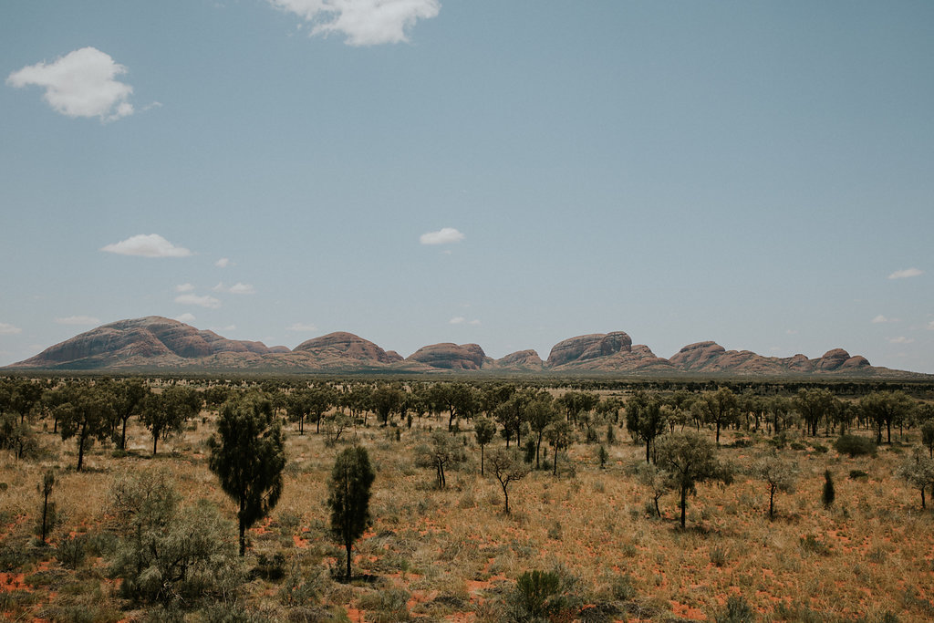 Outback(63von211).jpg