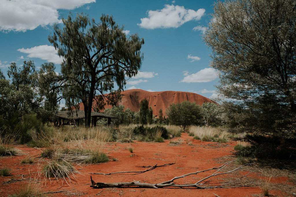 Outback(66von211).jpg