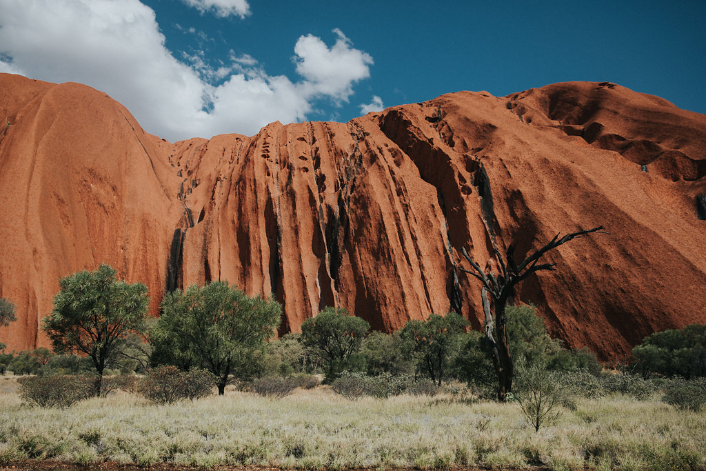 Outback(72von211).jpg