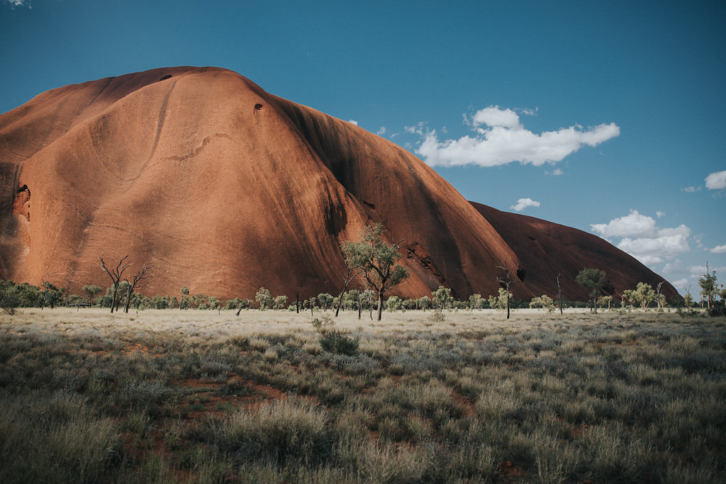 Outback(74von211).jpg