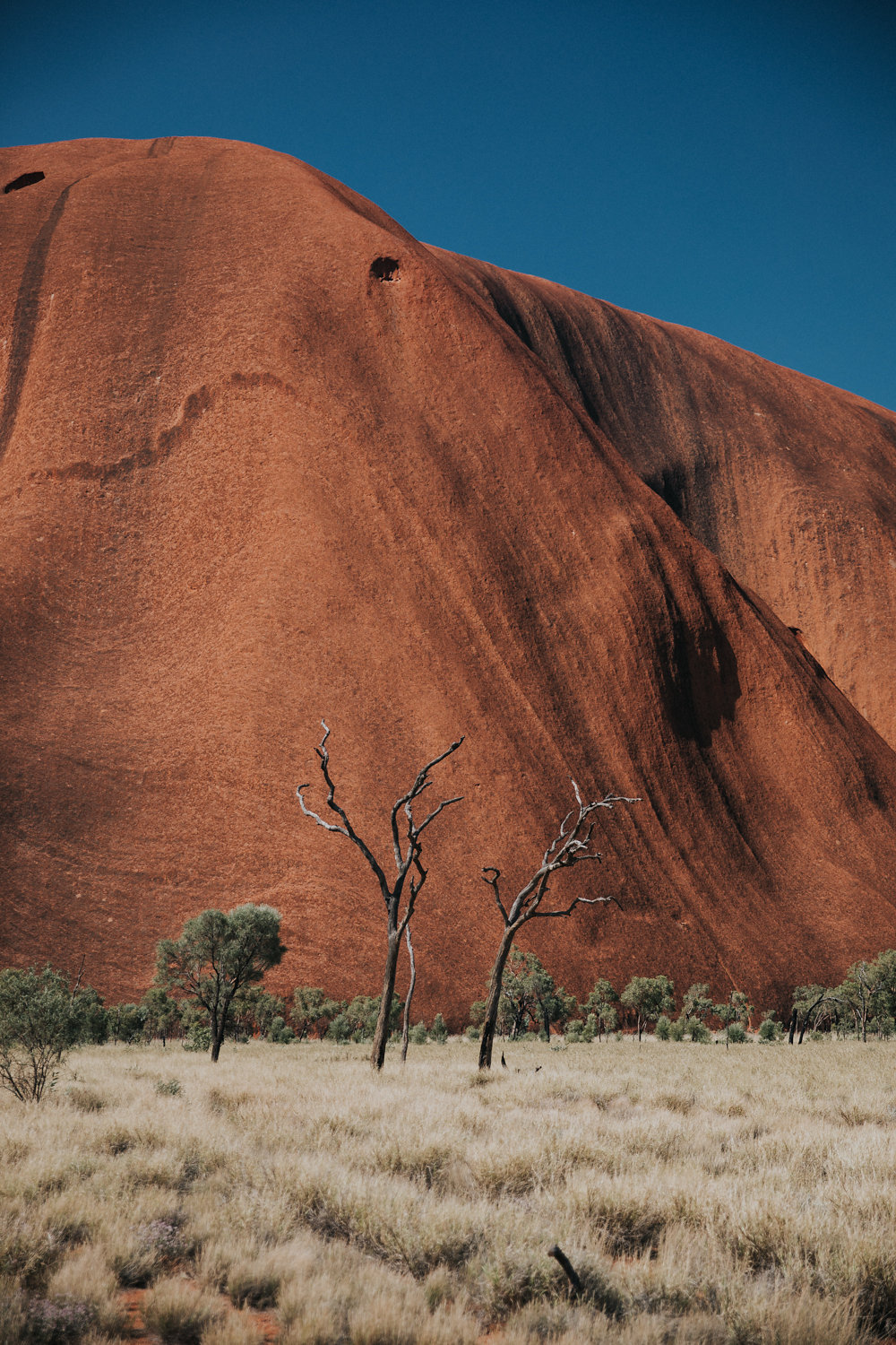 Outback(78von211).jpg