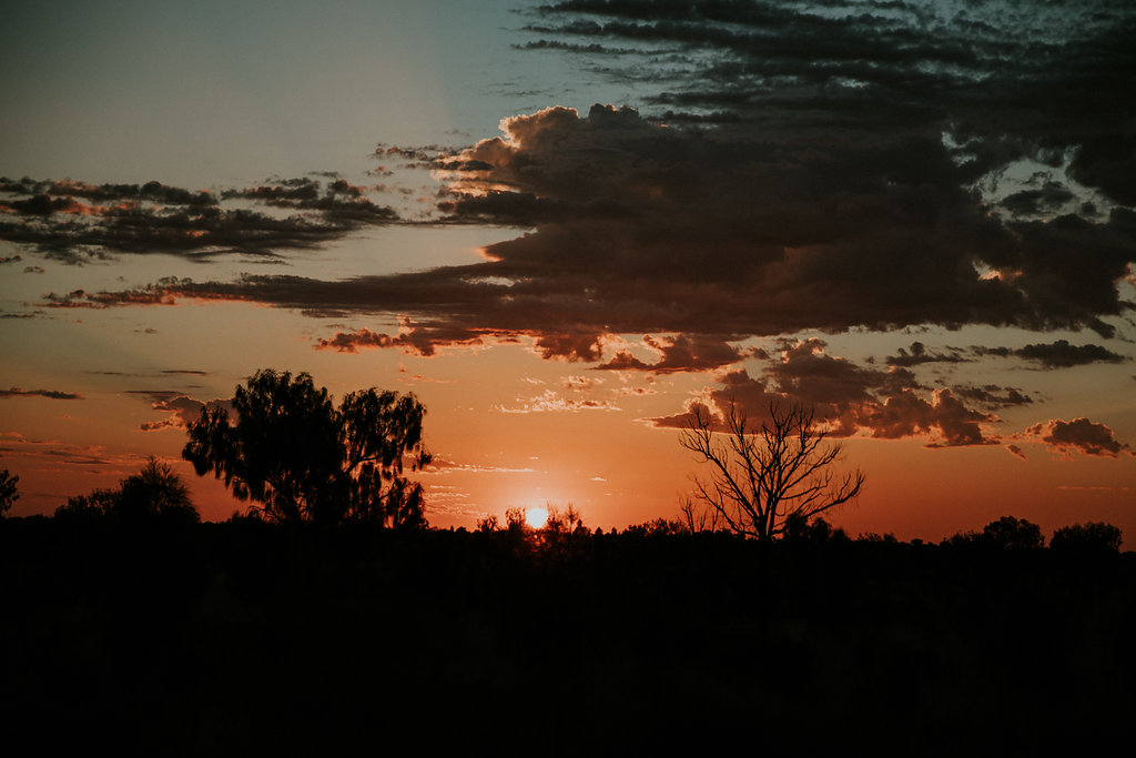 Outback(87von211).jpg