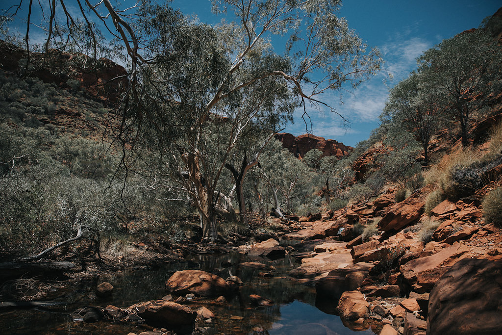 Outback(96von211).jpg