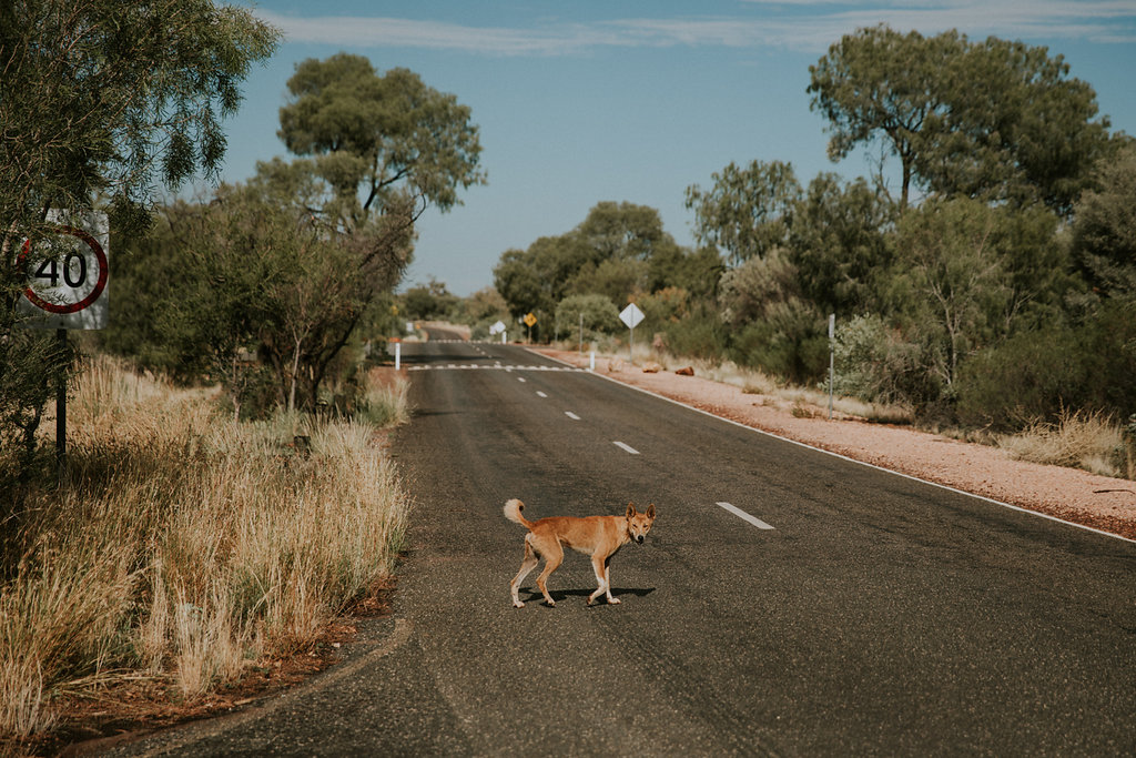 Outback(107von211).jpg