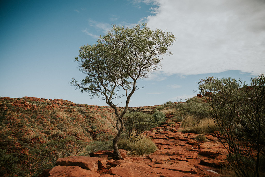 Outback(116von211).jpg