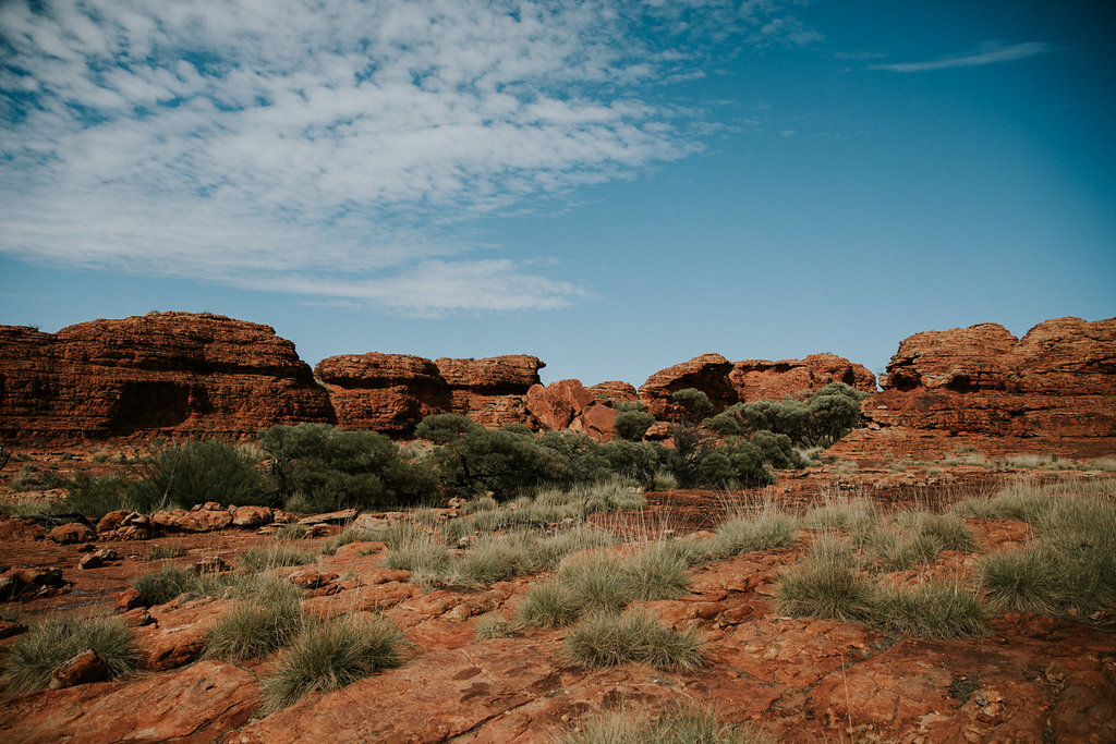 Outback(124von211).jpg