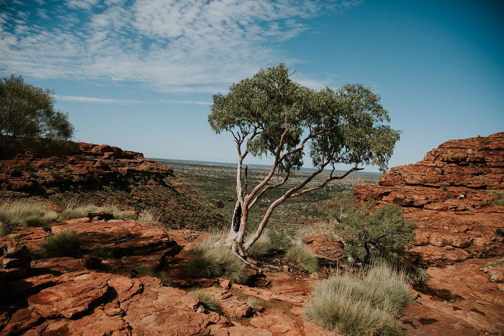 Outback(127von211).jpg