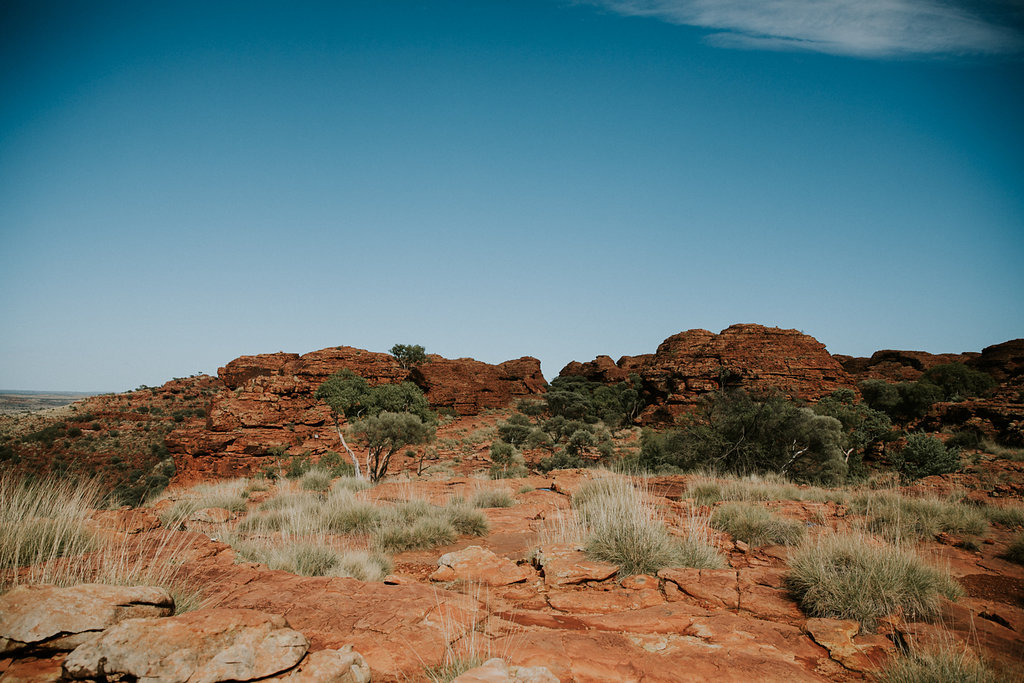 Outback(128von211).jpg