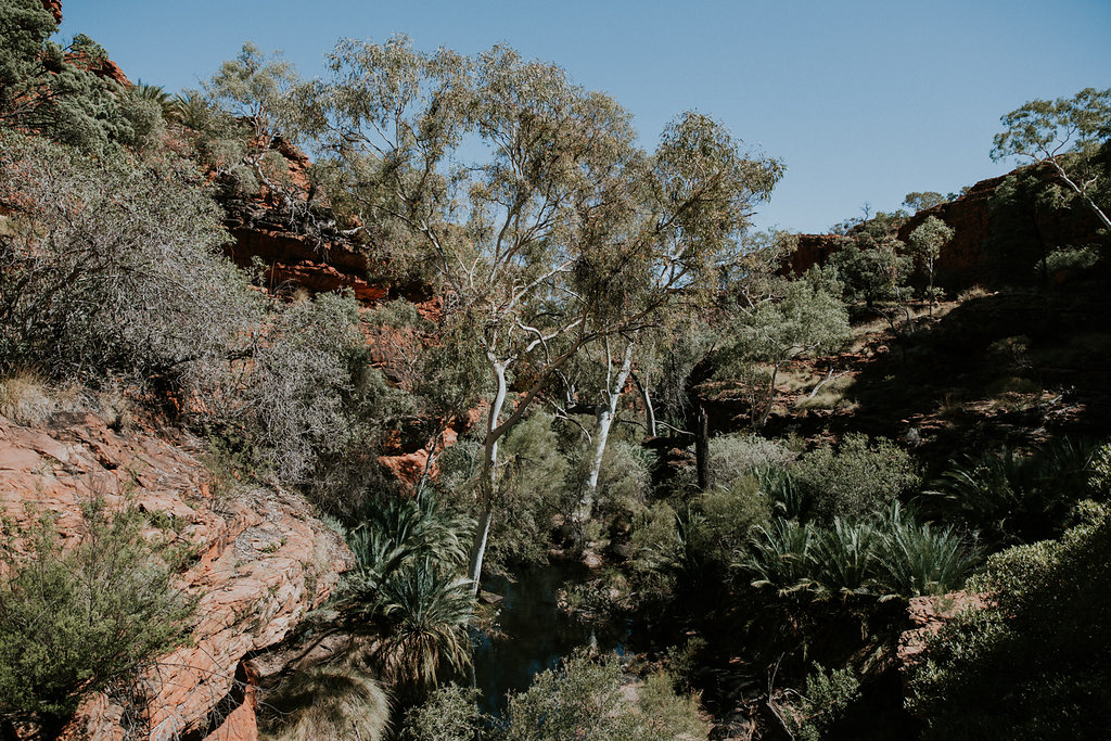 Outback(143von211).jpg