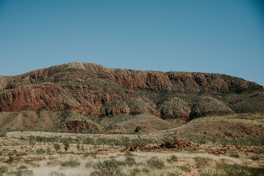 Outback(169von211).jpg
