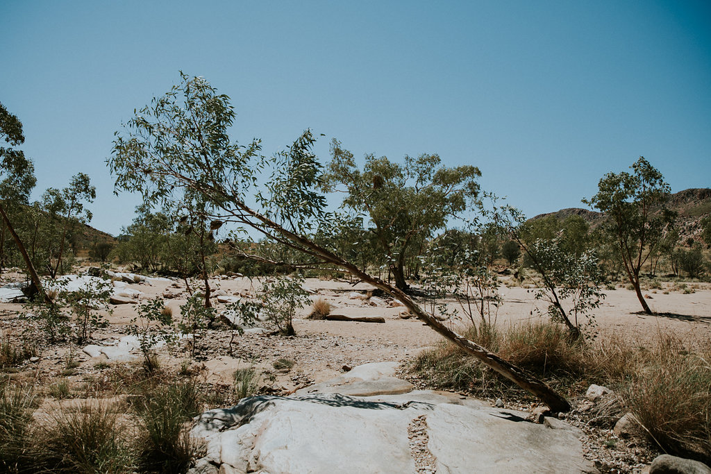 Outback(171von211).jpg