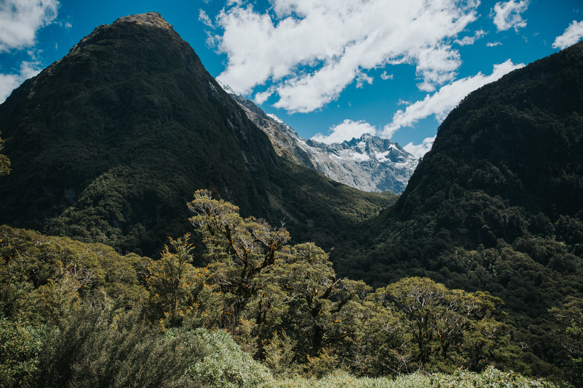 Neuseeland Teil 2 (6 von 241).jpg