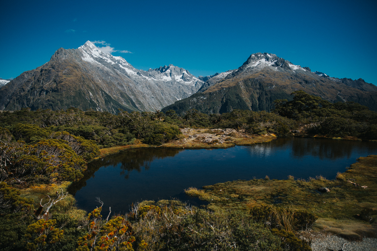 Neuseeland Teil 2 (12 von 241).jpg