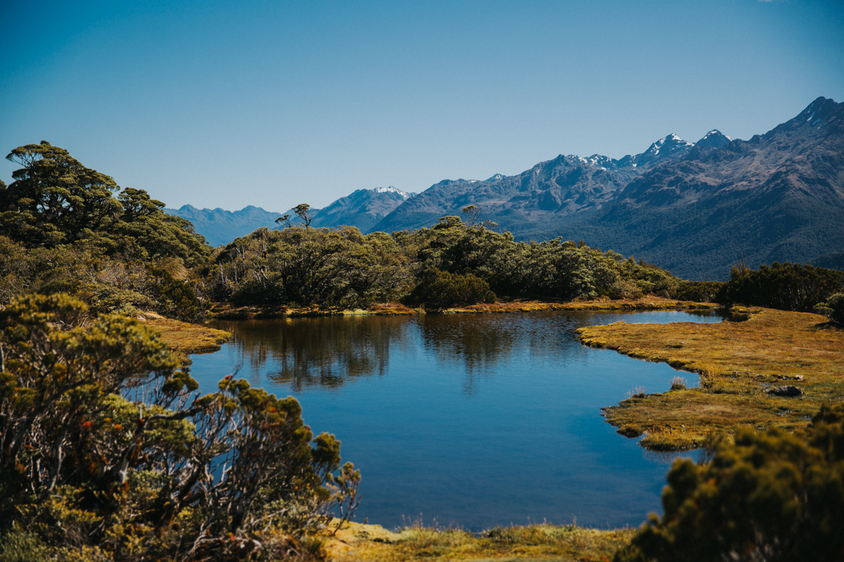 Neuseeland Teil 2 (13 von 241).jpg