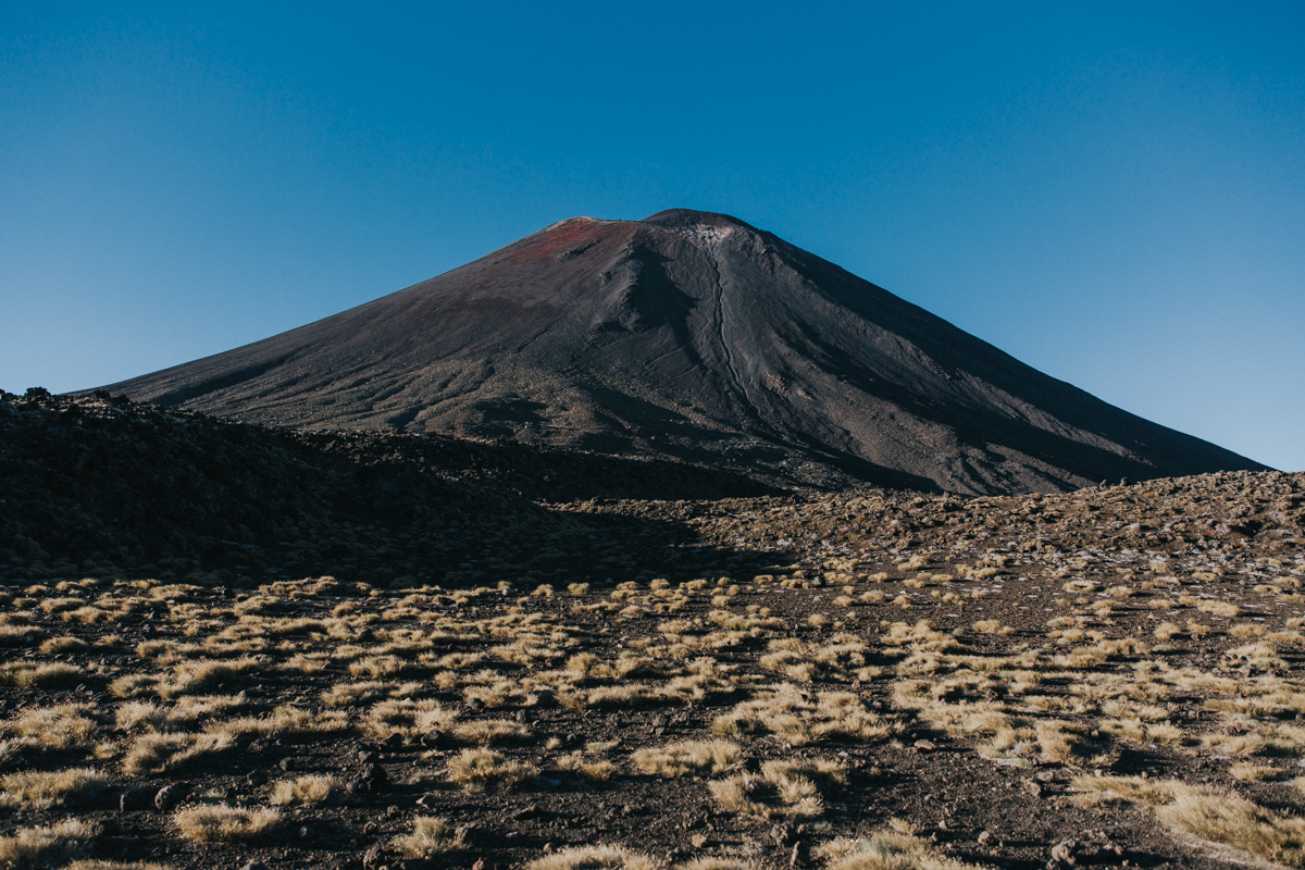 Neuseeland Teil 3 (184 von 265).jpg