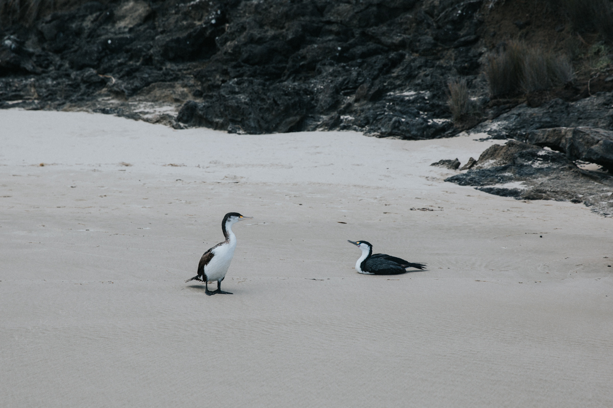 Neuseeland Teil3 (37 von 159).jpg