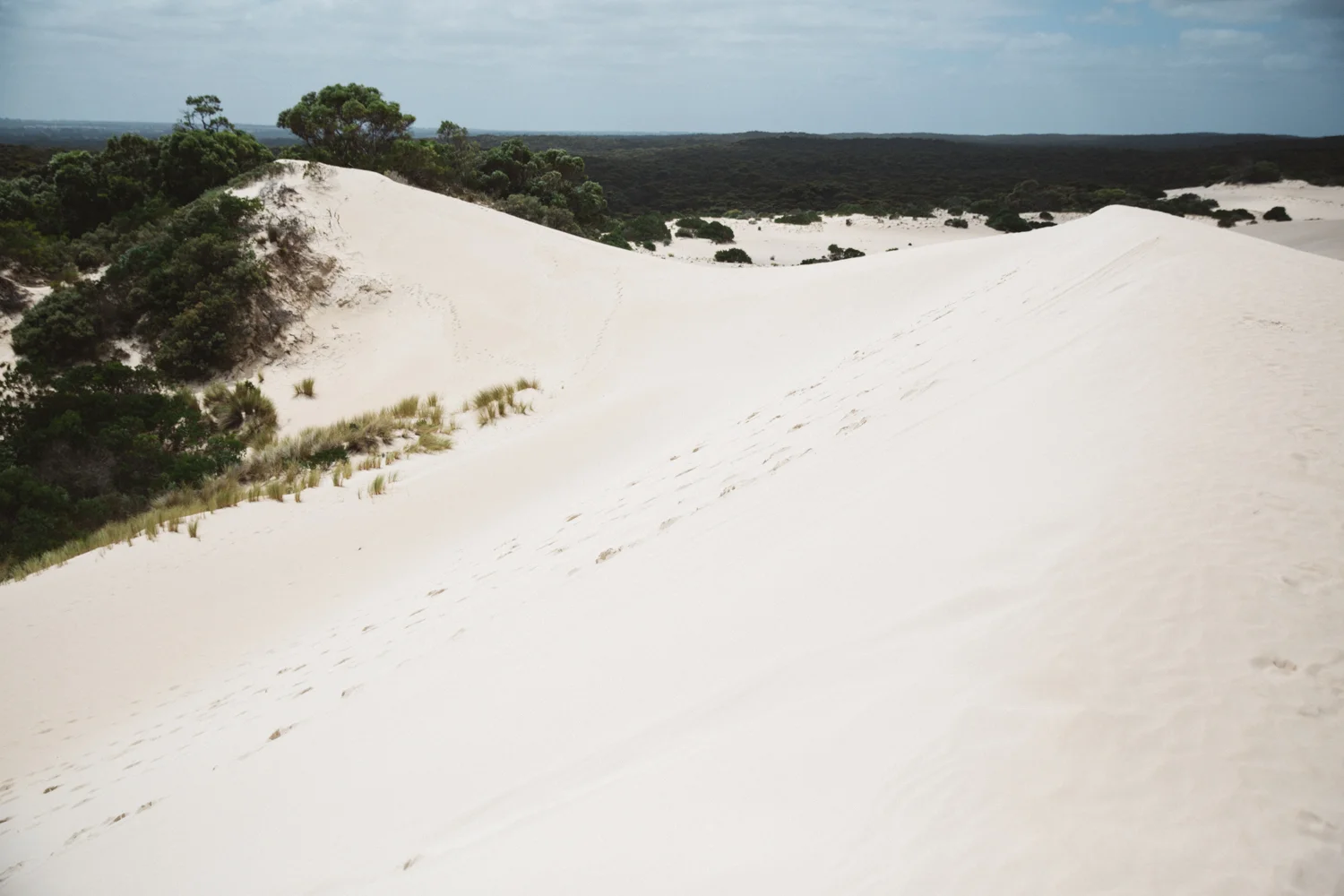 AUS_Kangaroo Island (39 von 186).jpg