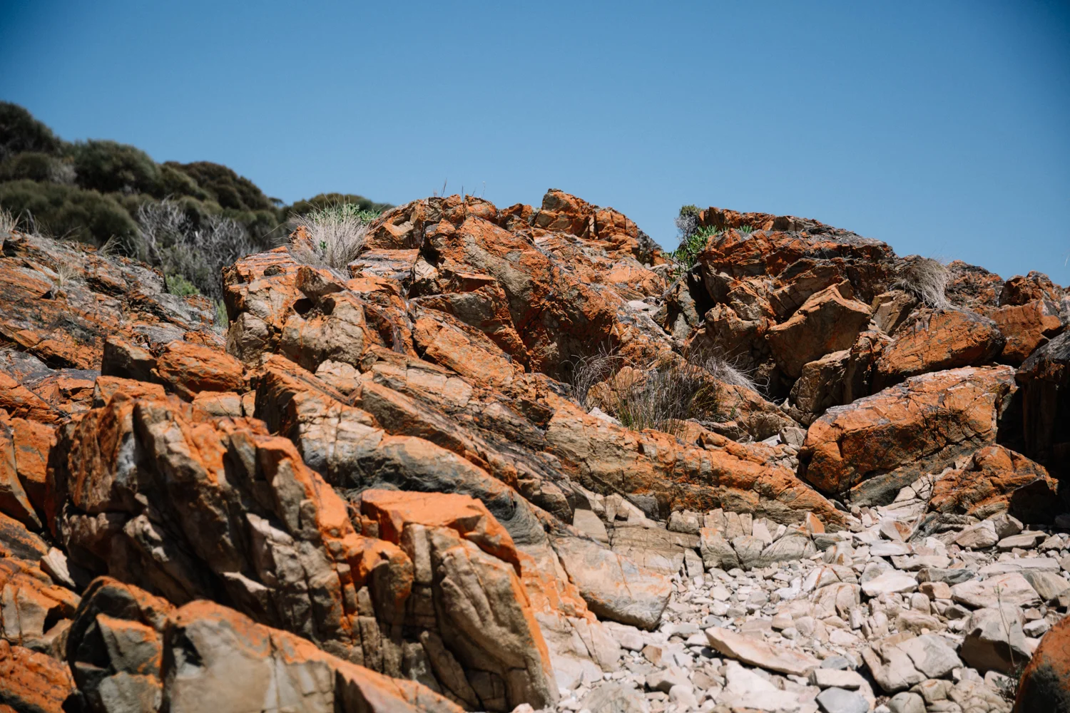 AUS_Kangaroo Island (158 von 186).jpg