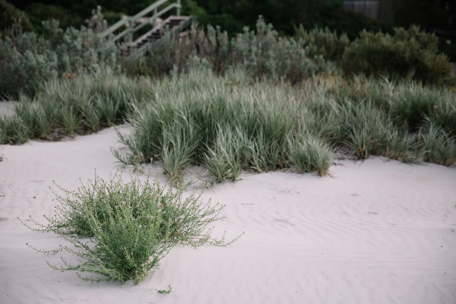 AUS_Kangaroo Island (175 von 186).jpg