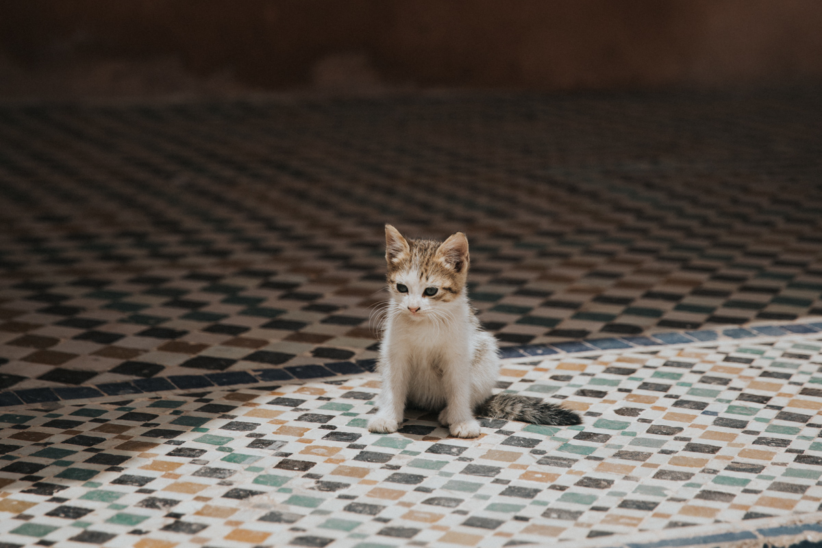 Marocco_Blog (67 von 303).jpg