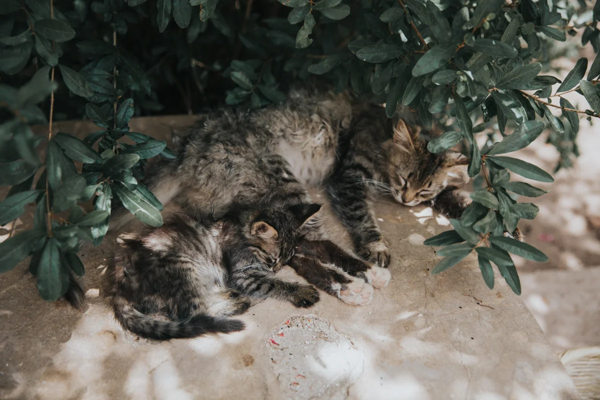Marocco_Blog (81 von 303).jpg