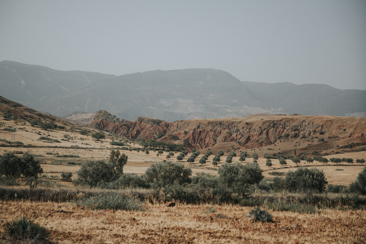 Marocco_Blog (154 von 303).jpg