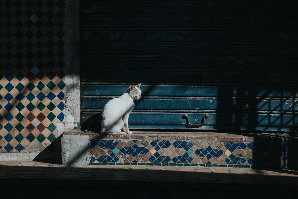 Marocco_Blog (298 von 303).jpg