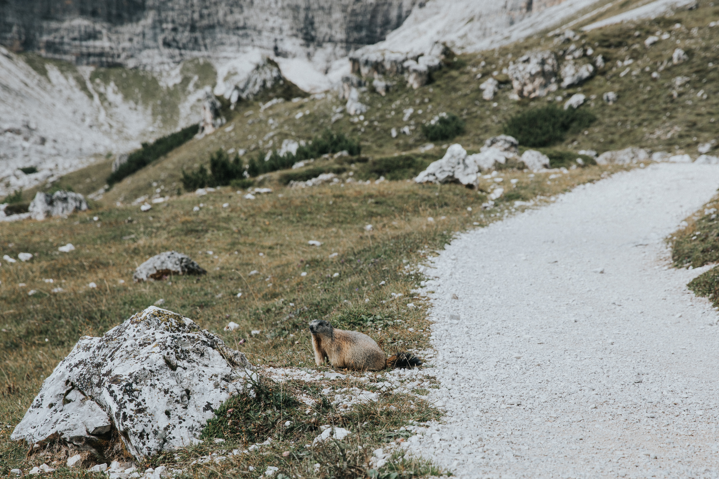 Dolomiten Wochenende (148 von 272).jpg