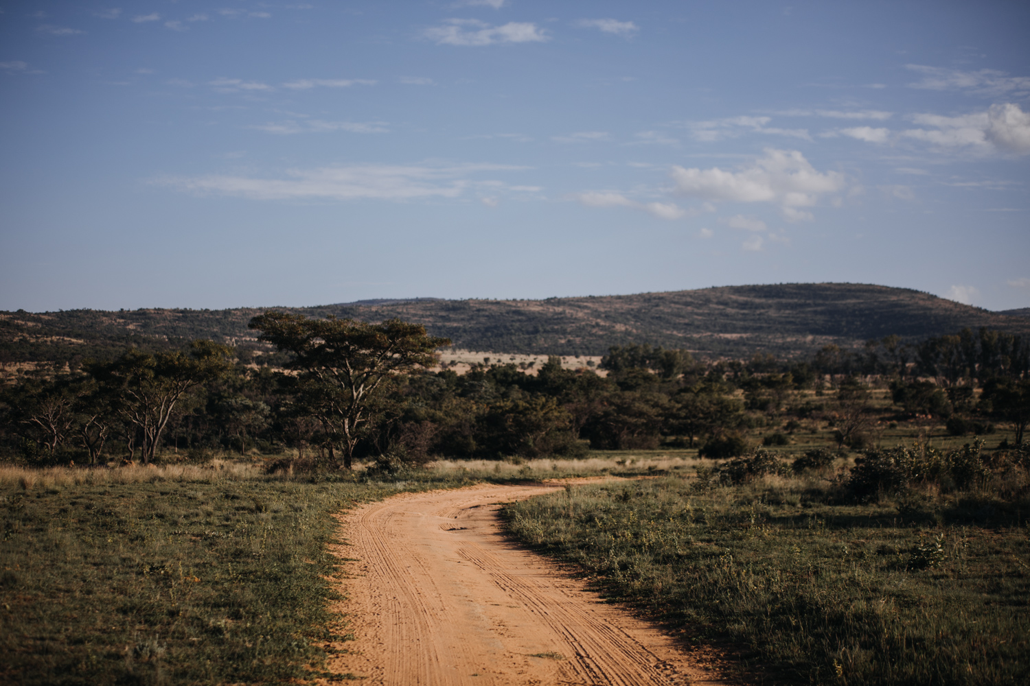 Joburg and Kololo (75 von 203).jpg