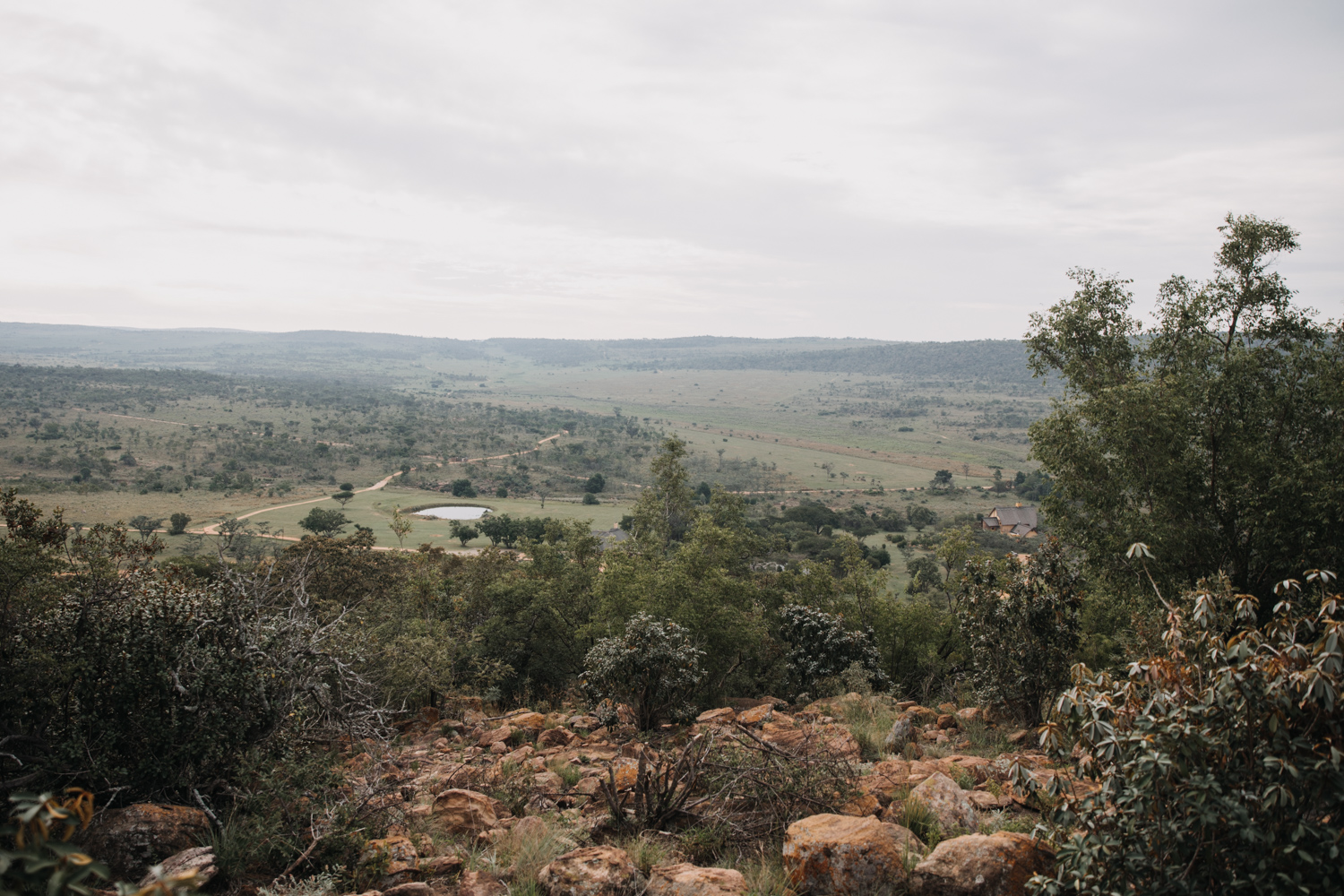 Joburg and Kololo (192 von 203).jpg