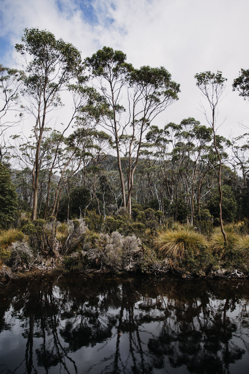 Tasmanien (94 von 180).jpg