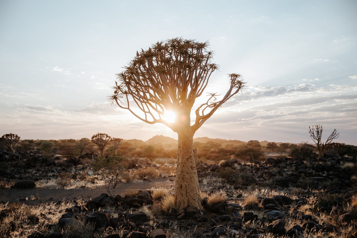 Namibia Roadtrip_Bergzumeer (28 von 674).jpg